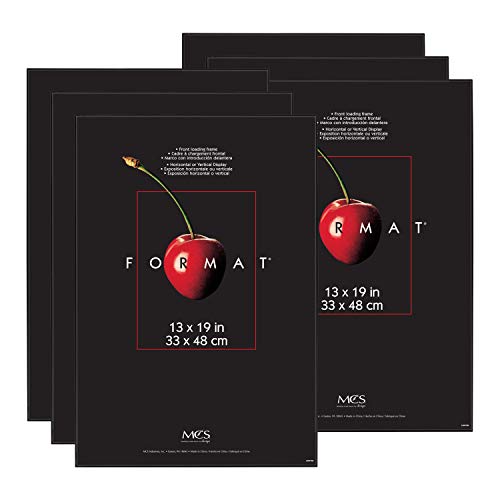 MCS Format 13x19 Poster Frame