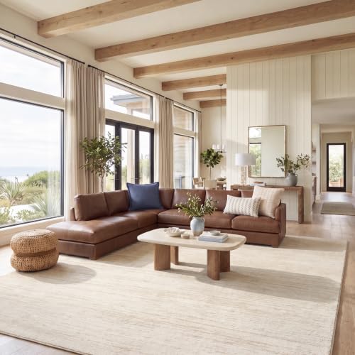 SAFAVIEH Area Rug 9x12 - Adirondack Collection - Large - Champagne & Cream, Modern Ombre Design, Non Shedding & Easy to Clean, Ideal for Living Room, Bedroom, Office, Dining Space (ADR113W)