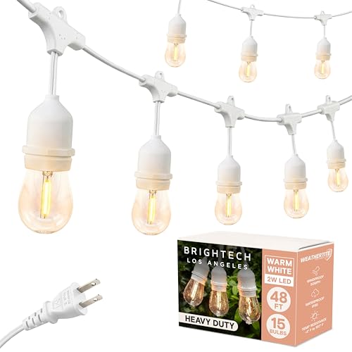 Brightech Ambience Pro Waterproof LED Outdoor String Lights, 48 Ft, Hanging, Dimmable Vintage Edison Bulbs, 15 Bulbs, 2W