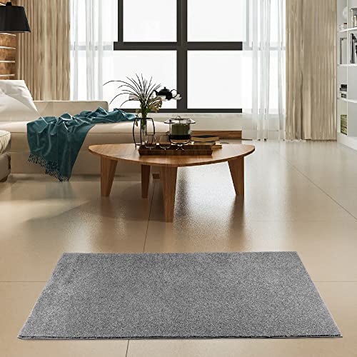 Ambiant Pet Friendly Solid Color Area Rugs Grey - 2' x 6' Runner, Indoor, Stain Resistant, Perfect for Living Room, Bedroom, Dining Room, Entryway, Pet & Kids Friendly Rug, Wedding, Made in USA