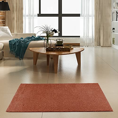 Ambiant Pet Friendly Solid Color Area Rugs Rust - 2' x 6' Runner, Indoor, Stain Resistant, Perfect for Living Room, Bedroom, Dining Room, Entryway, Pet & Kids Friendly Rug, Wedding, Made in USA