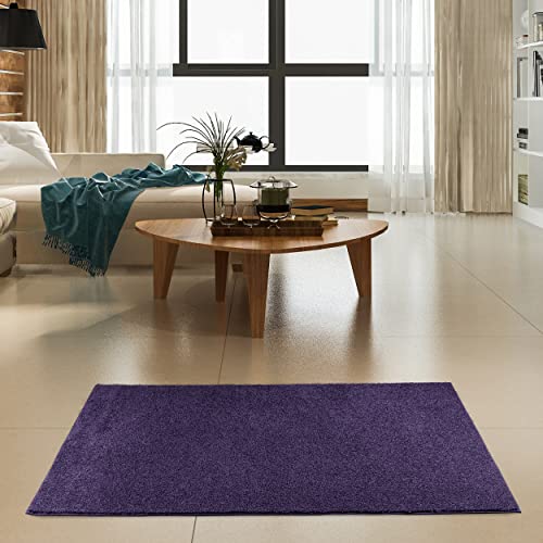 Ambiant Pet Friendly Solid Color Area Rugs Purple - 2' x 6' Runner, Indoor, Stain Resistant, Perfect for Living Room, Bedroom, Dining Room, Entryway, Pet & Kids Friendly Rug, Wedding, Made in USA