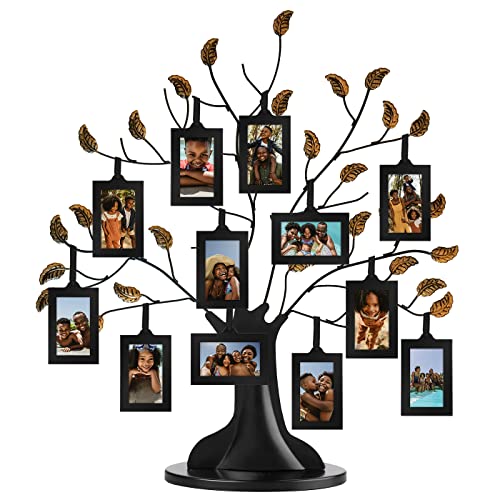 Americanflat Family Tree Picture Frame - Includes 12 Hanging 2x3 Picture Frames - Adjustable Ribbon Tassels - Ideal as Mothers Day Gifts, Birthday Gifts, or Christmas Decor - Black and Bronze