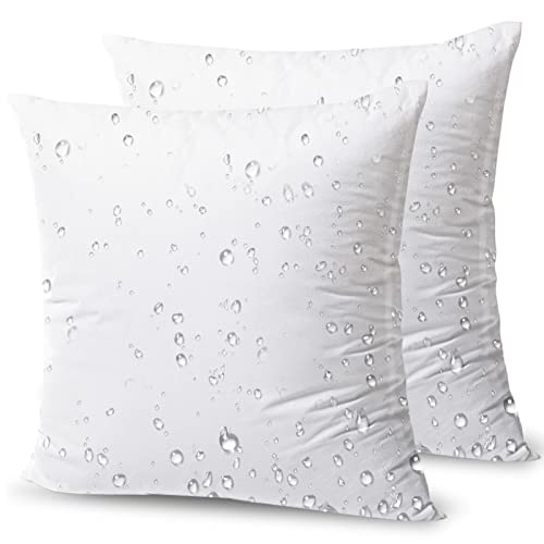 Phantoscope Premium Outdoor Pillow Inserts - 22 x 22 inches