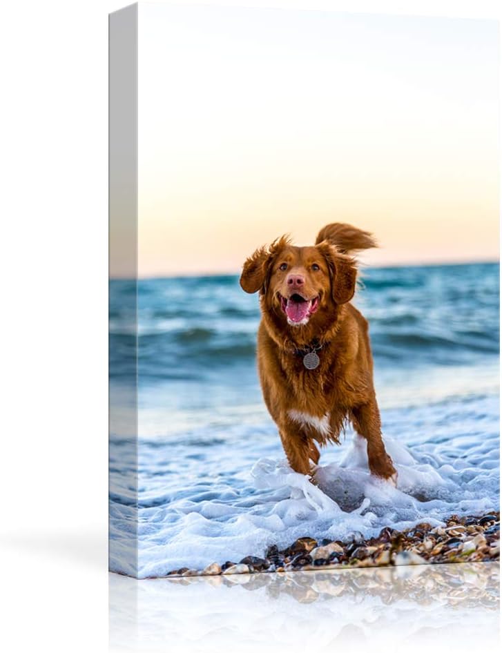 NWT Custom Canvas Prints 36x24