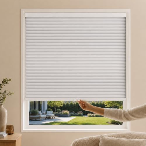 CHICOLOGY Cellular Shades, Window Blinds Cordless, Blinds for Windows, Window Shades for Home, Window Coverings, Cellular Blinds, Door Blinds, Evening Mist, 59" W X 64" H