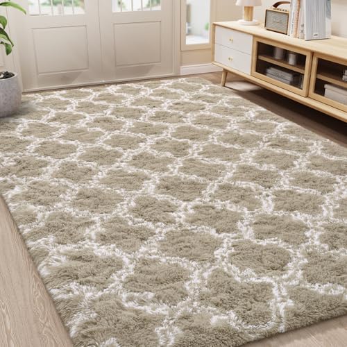 LOCHAS Luxury Shag Area Rug 5x8