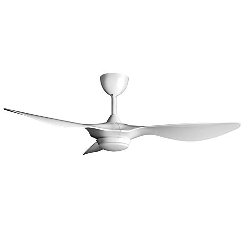reiga 52" Smart Fan
