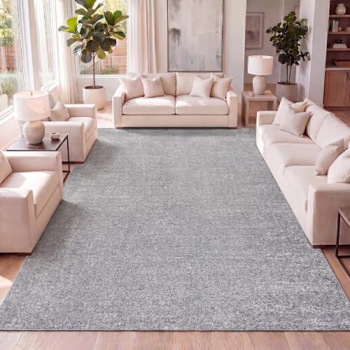 JONATHAN Y Haze Solid Low-Pile Gray Indoor Area Rug 5x8, Coastal,Bohemian,Minimalist,Classic, Easy-Cleaning for Living Room,Bedroom,Kitchen,Pet Friendly,Non-Shedding (SEU100A-5)