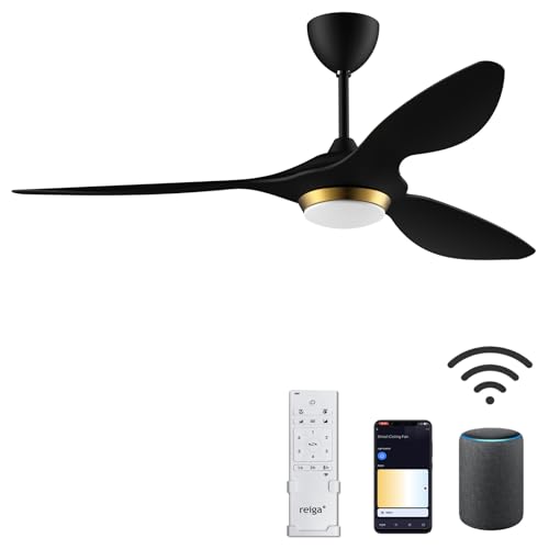 reiga 52 Inch Black Modern Ceiling Fan