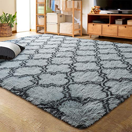 LOCHAS Luxury Shag Area Rug 6x9