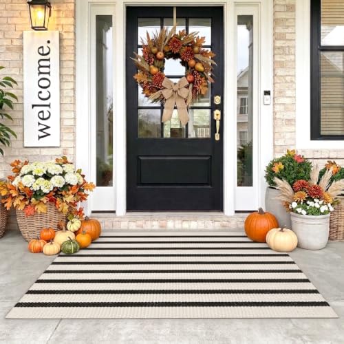 LEEVAN Black and White Striped Area Rug 3x5 ft Outdoor Patio Rugs Woven Washable Farmhouse Floor Carpet Front Porch Doormat for Bedroom/Courtyard/Laundry Room/Living Room