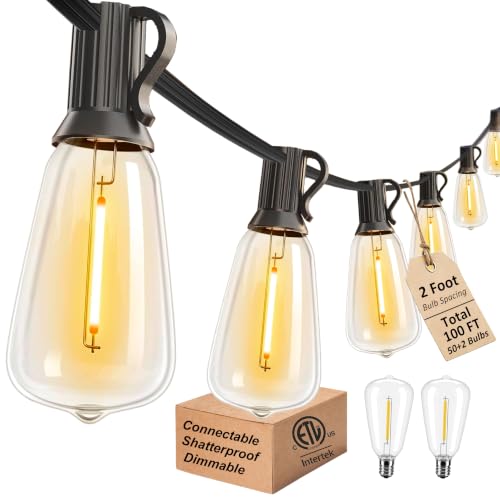 DAMAING Outdoor String Lights 100 FT
