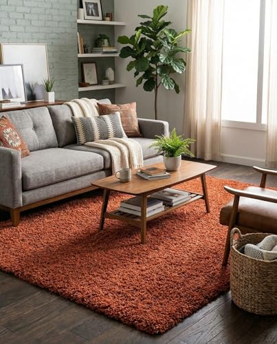 Rugs.com Terracotta 6' x 9' Shag Rug