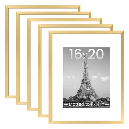upsimples 16x20 Frame Set of 5 (Gold)