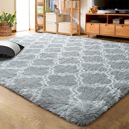LOCHAS Luxury Shag Area Rug 5x7