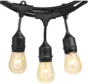 SUNTHIN Outdoor String Lights, 48FT Commercial Grade String Light with 15 11W Dimmable Edison Vintage Bulbs, Hanging for Outside, Patio, Garden, Backyard, Porch, Deck, Pergola, Party