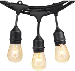 SUNTHIN Outdoor String Lights 48FT
