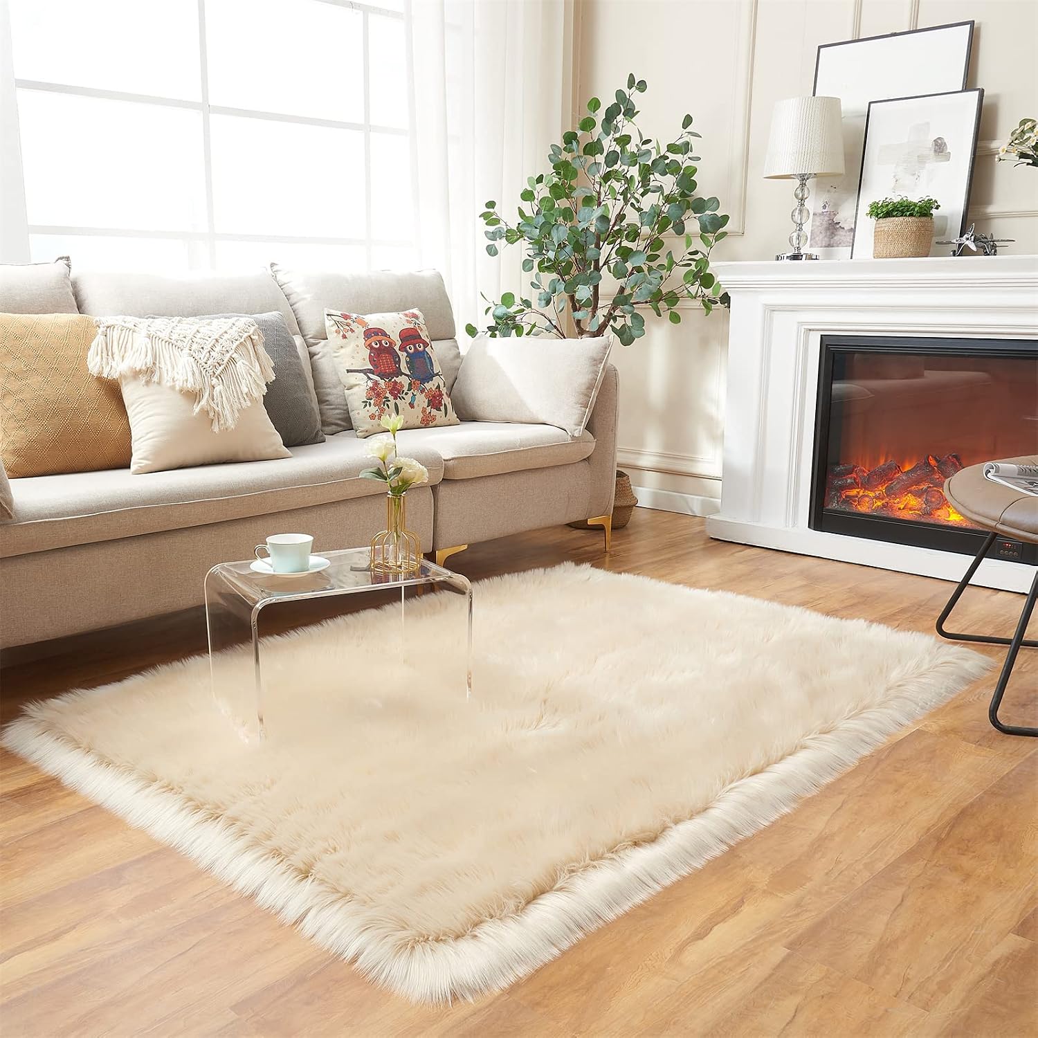 EasyJoy Ultra Soft Fluffy Shaggy (Beige)