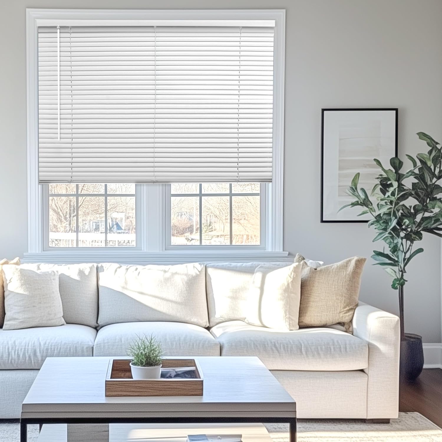 CHICOLOGY Mini Blinds 64.5" x 36"