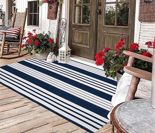 BUAGETUP Blue and White Outdoor Rug 3'x5'