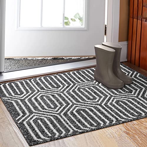 Aoonby 32" x 48" Indoor Doormat