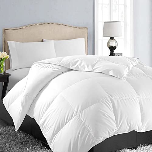 EASELAND Twin XL Down Alternative Comforter (White)