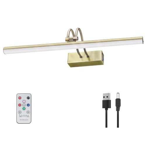 Picture Light, 20in Battery Wall Sconce