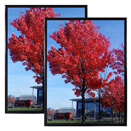 Medog 24x36 Poster Frame (2-Pack)