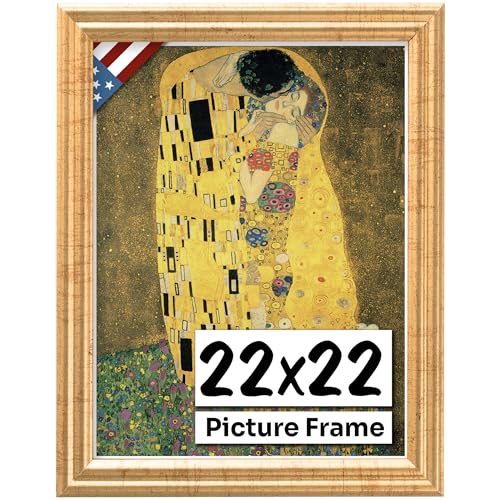 Antique Gold 22x22 Picture Frame