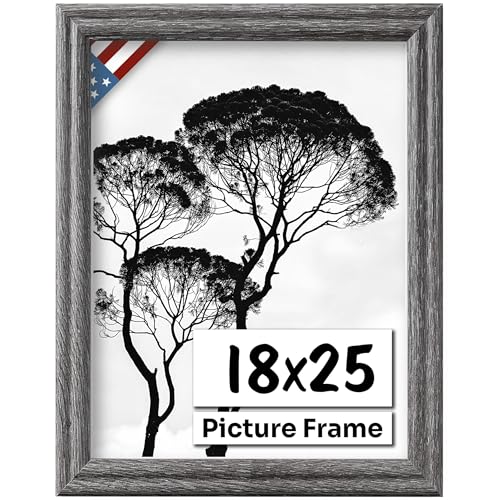 Barnwood Gray 18x25 Picture Frame