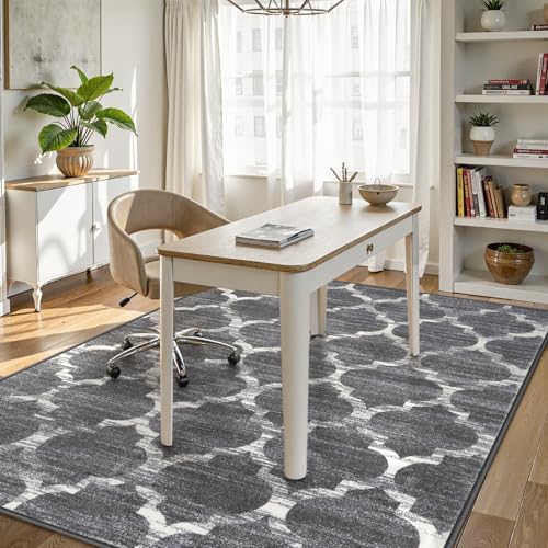 Lahome Moroccan Washable Area Rug