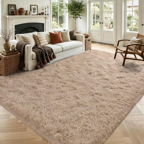 Noahas Large Fluffy Beige 6x9 Area Rugs for Living Room Bedroom,Thick Shag Throw Rug,Big Soft Shaggy Bedside Non-Slip Plush Dorm Nursery Kids Carpet