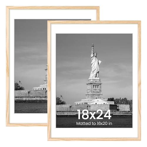ENJOYBASICS 18x24 Picture Frame 2 Pack