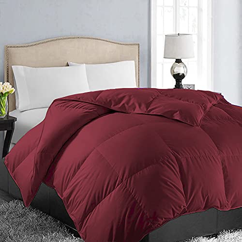 EASELAND Oversized King Down Alternative Comforter