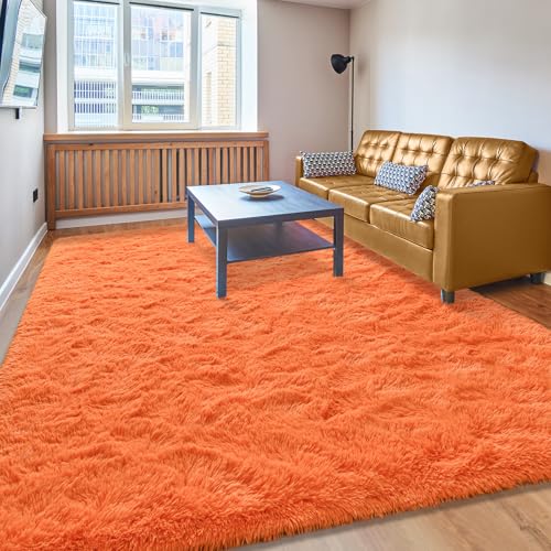 Fosirug Ultra Soft Shaggy 5x8
