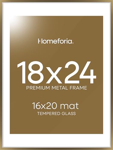 Homeforia Picture 18x24 Bronze Frame