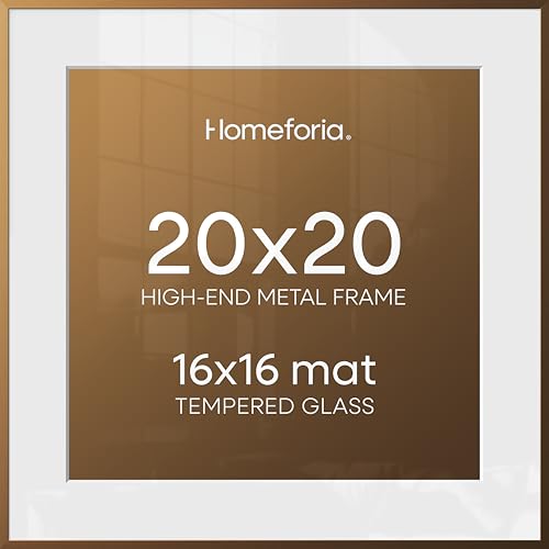 Homeforia 20x20 Picture Bronze Frame
