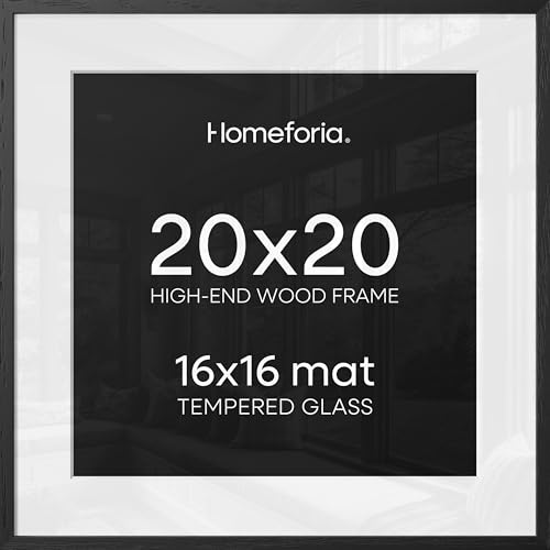 Homeforia 20x20 Black Wood Frame