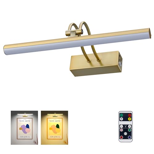 RAIFOOLLY 20" Picture Light (Brass)