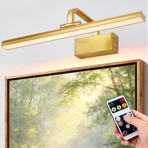 Picture Lights for Wall, Battery Painting Light with Remote Dimmable and Timer, 3 Lighting Modes Art Display Light, Wall Decorative Lighting for Canvas, Portrait,Frame