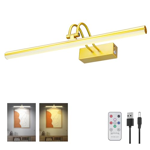 Picture Light, 2-Color 20" Battery Light
