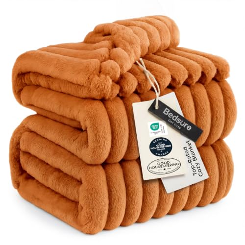 Bedsure GentleSoft Queen Blanket