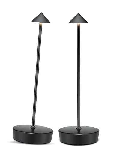 XMINKDZA Cordless Table Lamp