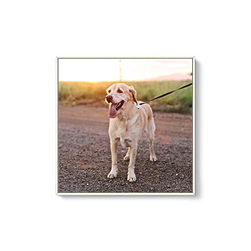 NWT Custom Framed Canvas 24x24
