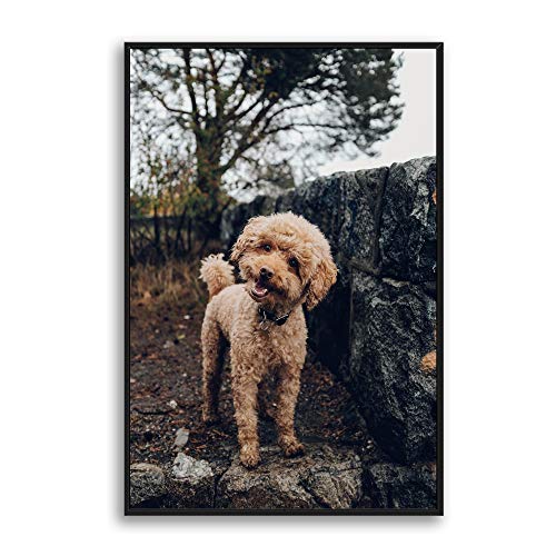 NWT Custom Framed Canvas Prints with Your Photo for Pets, Personalized Canvas Wall Art for Living Room, Bedroom - 24x36 inches