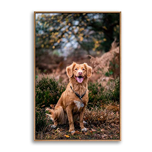 NWT Custom Framed Canvas Prints with Your Photo for Pets, Personalized Canvas Wall Art for Living Room, Bedroom - 24x36 inches