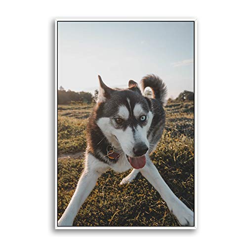 NWT Custom Framed Canvas Prints with Your Photo for Pets, Personalized Canvas Wall Art for Living Room, Bedroom - 24x36 inches