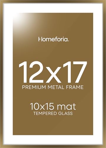 Homeforia 12x17 Picture Frame Bronze