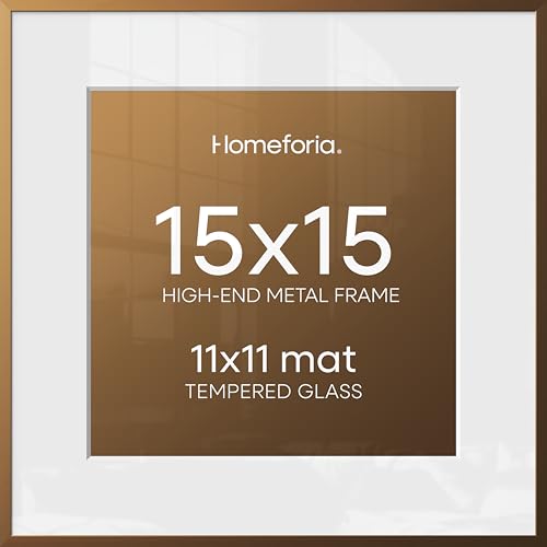 Homeforia 15x15 Bronze Frame